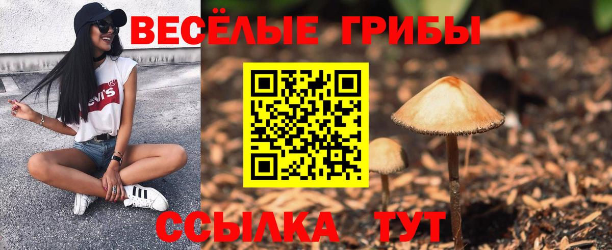 наркошоп  Галлюциногенные грибы Cubensis  Вход с VPN  Сосновый Бор 